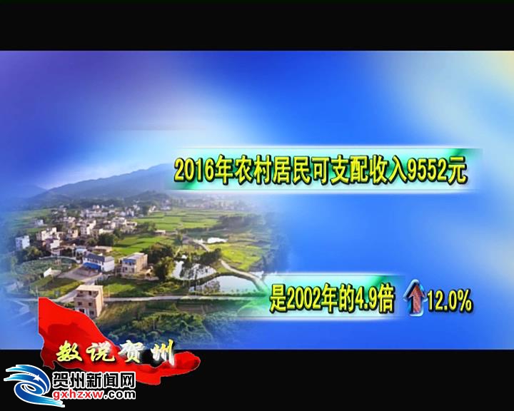 收入证明_如何提高农民收入(3)