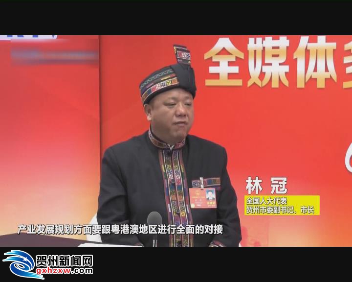林冠:抓住机遇 主动融入粤港澳大湾区建设