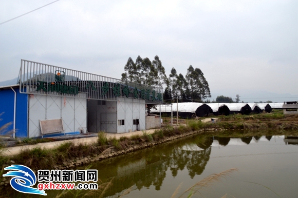 桂岭于氏人口_贺州桂岭图片(2)