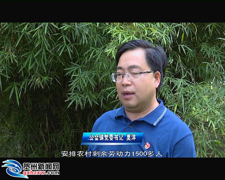 贺州公会那个村人口多_贺州公会牛肠酸图片