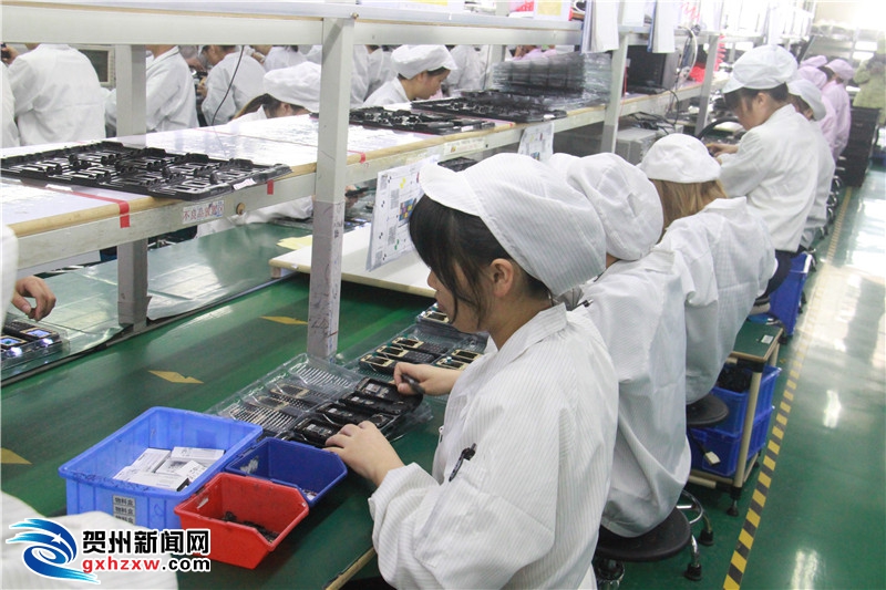 贺州简介人口_贺州学院(2)