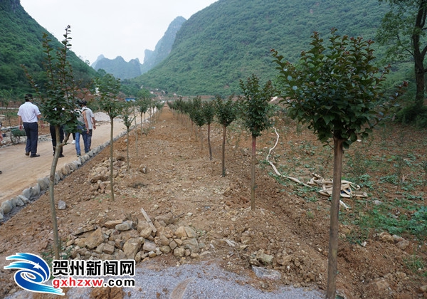 紫薇公园初具雏形_副本.jpg