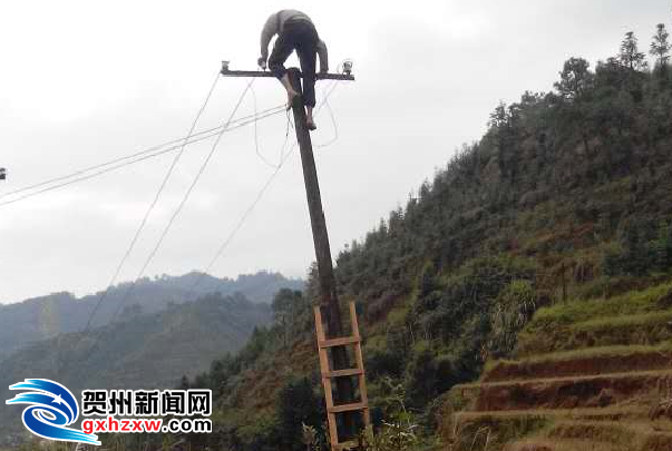 村民自己爬到电线杆上接线.