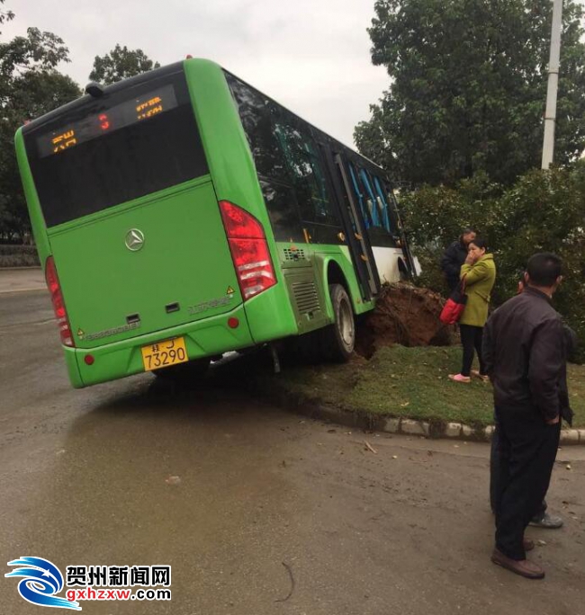 贺州24路公交车路线图,贺州1路公交车路线图 网友报料:3路公交干倒一颗大树_贺州新闻_贺州新闻网