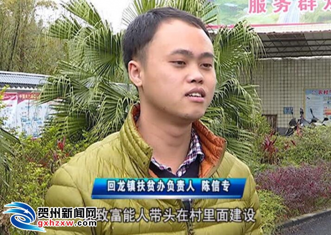 回龙镇有多少人口