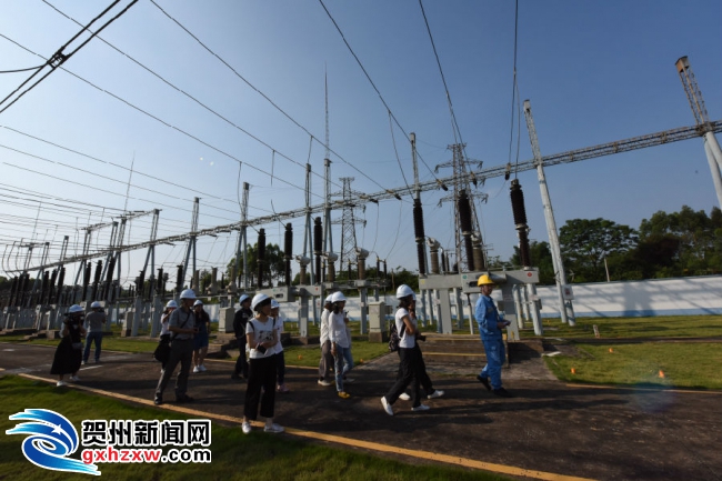 贺州供电局开展社会责任日活动_贺州新闻_贺