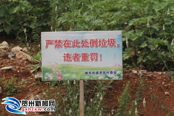 天然公园旁的天然垃圾场