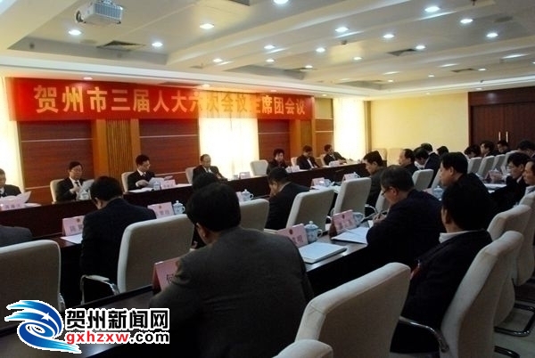 韦丽萍,唐毓流,李国强,吴泽荣,黄金文,蒋藤庆进行表决