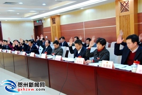 韦丽萍,唐毓流,李国强,吴泽荣,黄金文,蒋藤庆进行表决