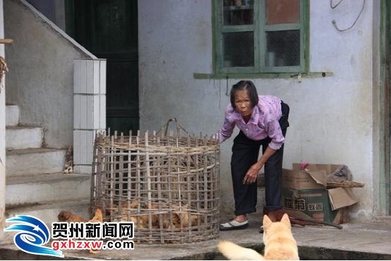 亲朋<em>众志</em>成城 为救10岁烧伤<em>男童</em>齐尽力 - 贺州